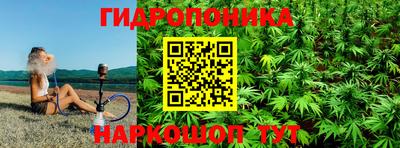 сатива Бердск